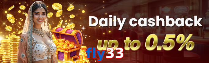 Fly33